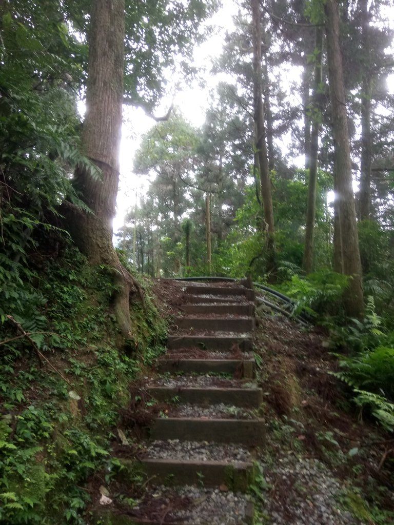 DSC_7192.JPG - 坪林  水聳淒坑步道