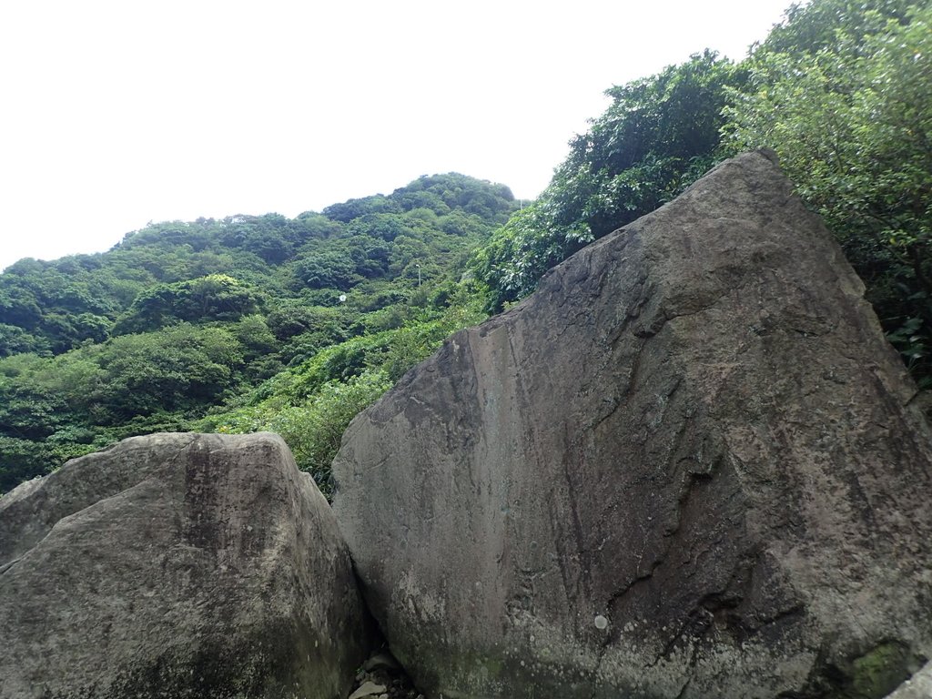 P8317628.JPG - 瑞芳  雷霆岩下之  溪谷風情