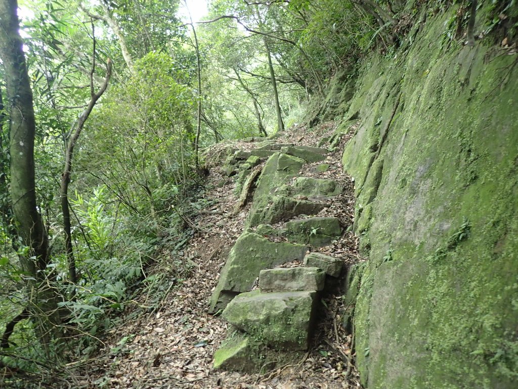 P7062105.JPG - 九份  小粗坑越嶺古道