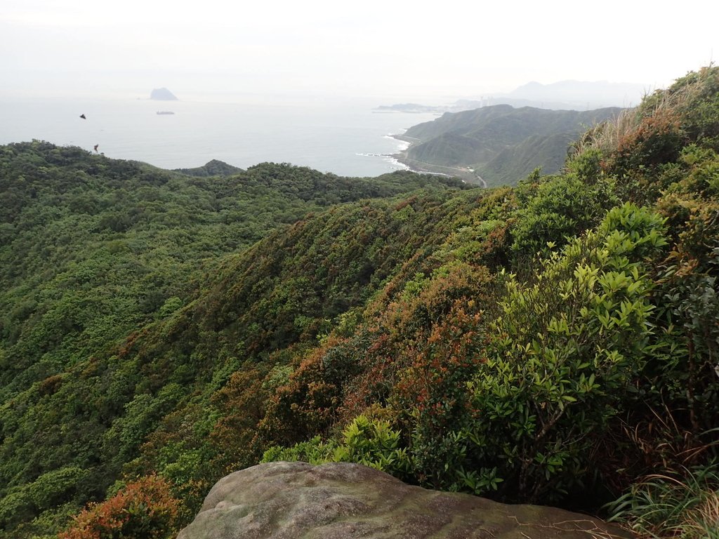 P3308207.JPG - 萬里  瑪鋉山  (望洋崖)