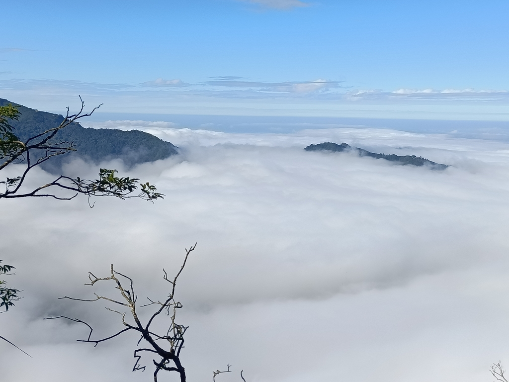 IMG20201205093617.jpg - 鹿谷  溪頭  南鳳凰山