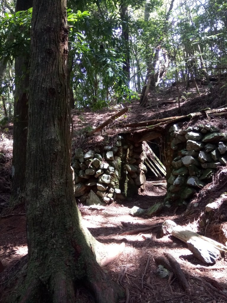 DSC_9912.JPG - 谷關七雄之  馬崙山  (下)