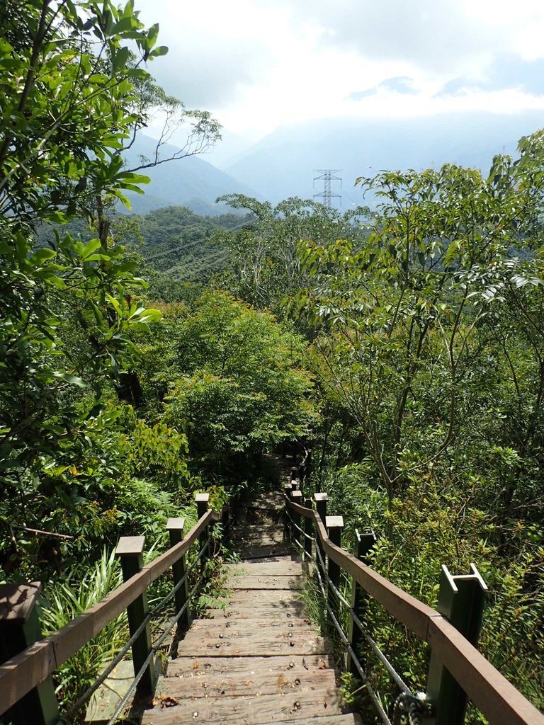 P9017421.JPG - 魚池  頭社  後尖山步道