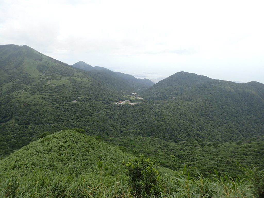 P7165507.JPG - 小觀音山  西峰登山步道