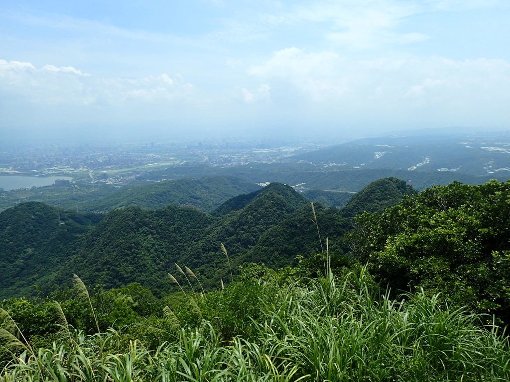 P8076247.JPG - 觀音山之  北橫古道