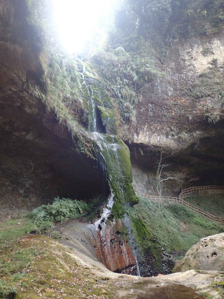 P2056652.JPG - 竹山  杉林溪森林遊樂園  路過