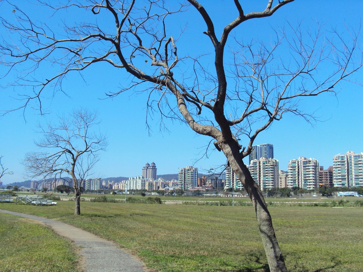 DSC03691.JPG - 松山  觀山河濱公園