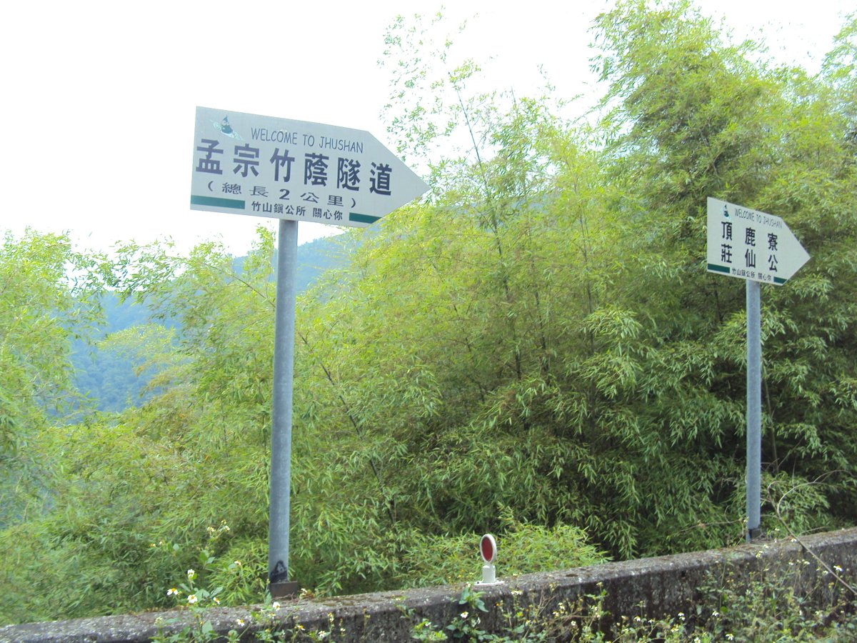 DSC08030.JPG - 竹山  大諳  孟宗竹蔭隧道