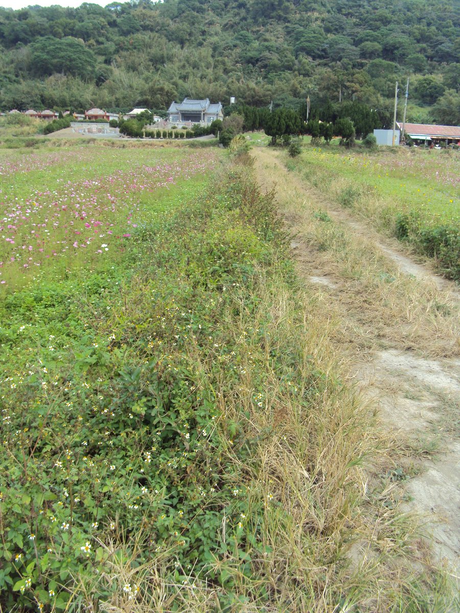 DSC06063.JPG - 竹北  東勢  鄉飲賓  曾純修墓