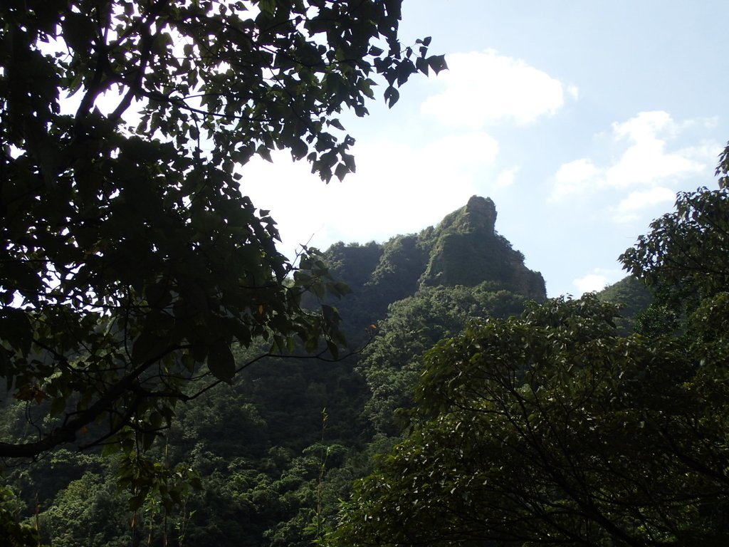 PA285386.JPG - 侯硐  獅子嘴奇岩