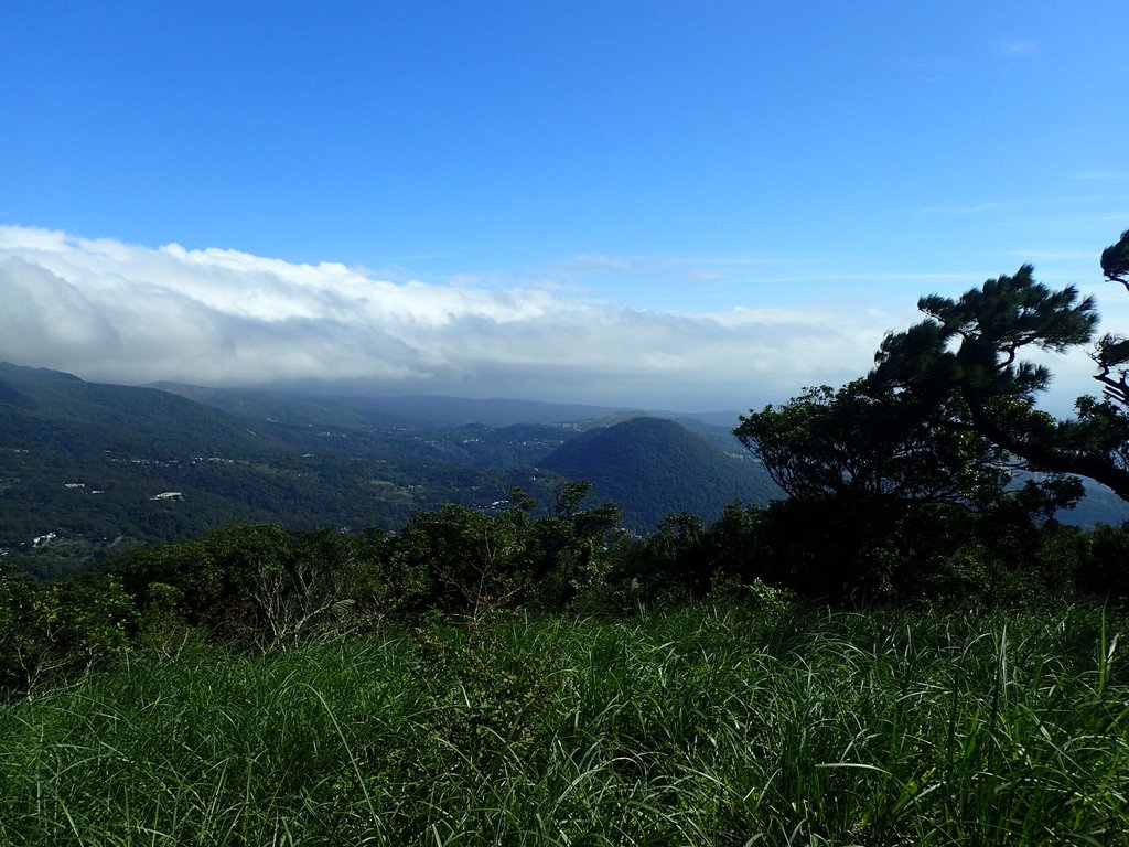 PB247181.JPG - 北投  中正山登山步道  02