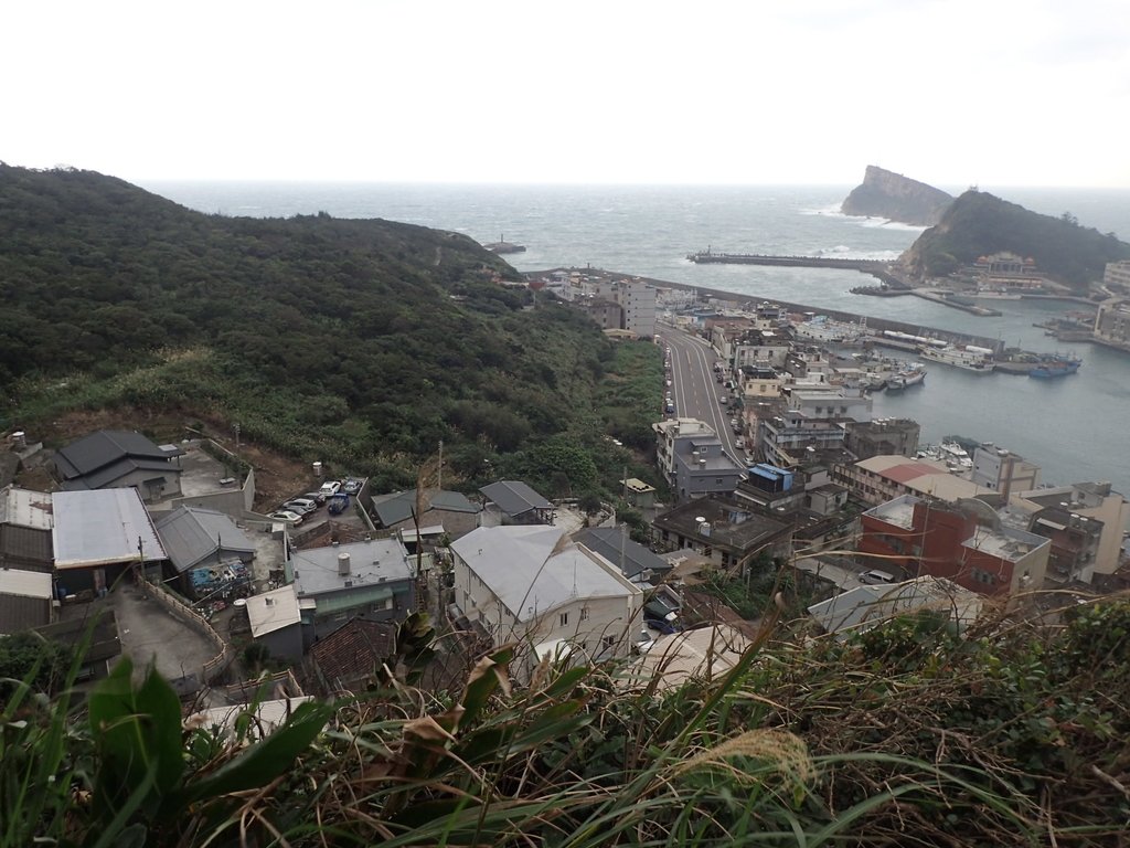 P1264012.JPG - 野柳  北八斗山稜線步道