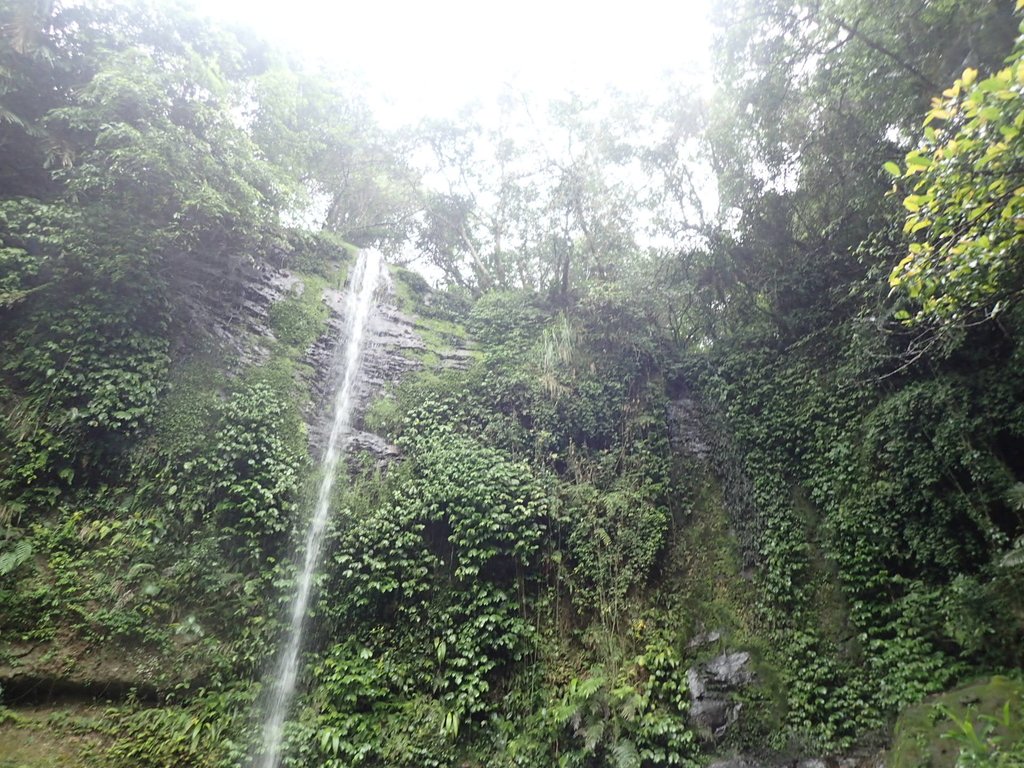 P4051056.JPG - 深坑  炮子崙登山步道