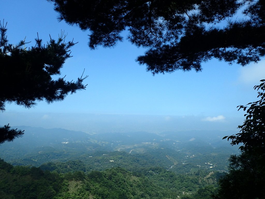 P5117153.JPG - 大坑四號步道  頭嵙山