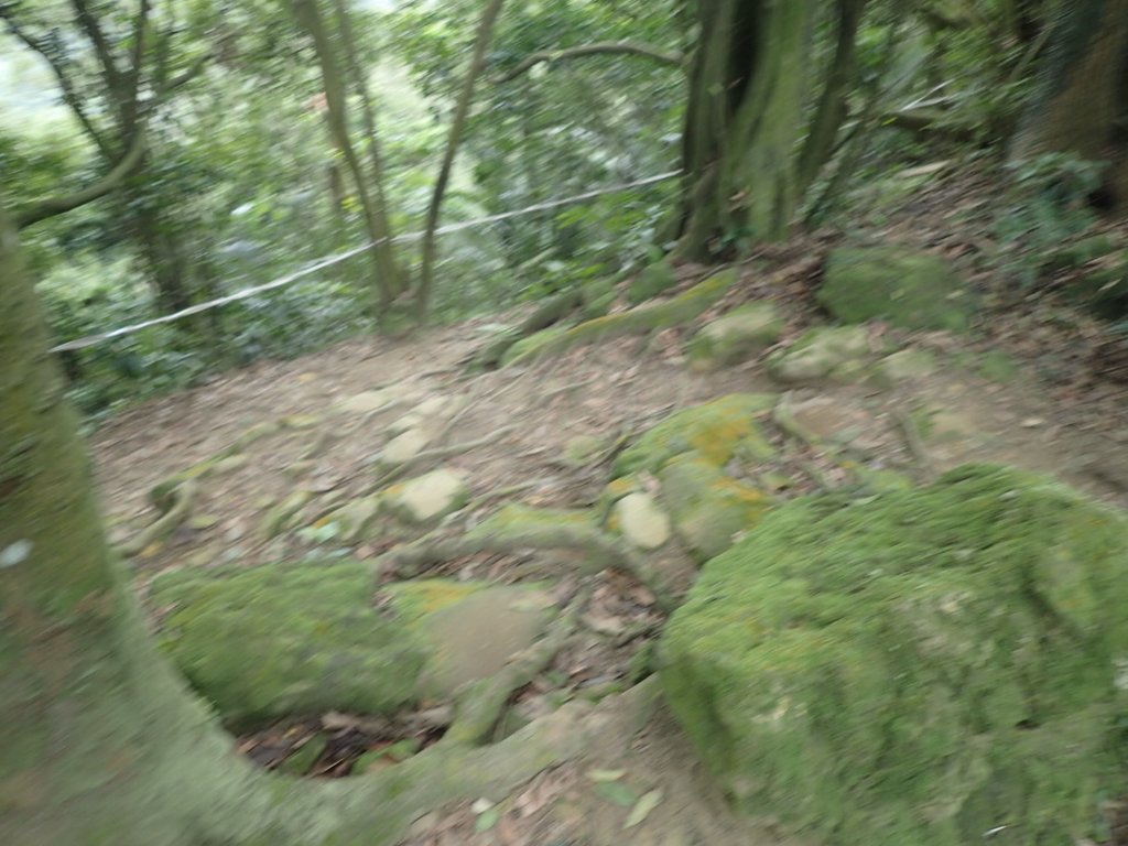 P2168024.JPG - 三峽  鳶山  (福德坑山)