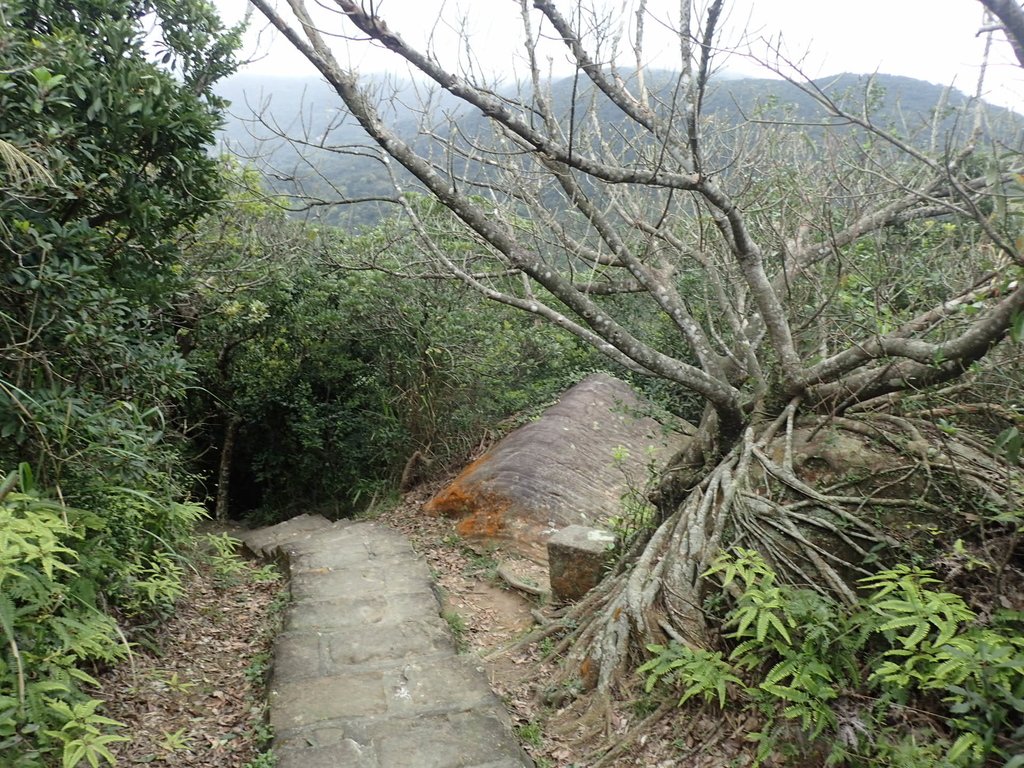 P2288785.JPG - 內湖  大崙尾山