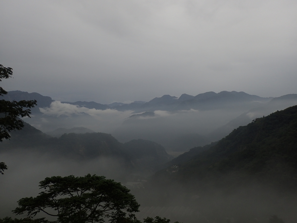 PA231908.JPG - 石壁途中之   茶山雲雨