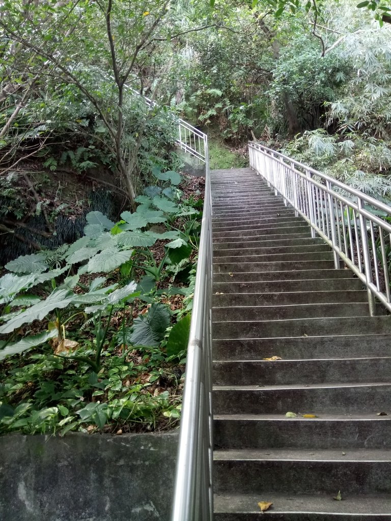 DSC_3117.JPG - 基隆  球子山(火號山)步道