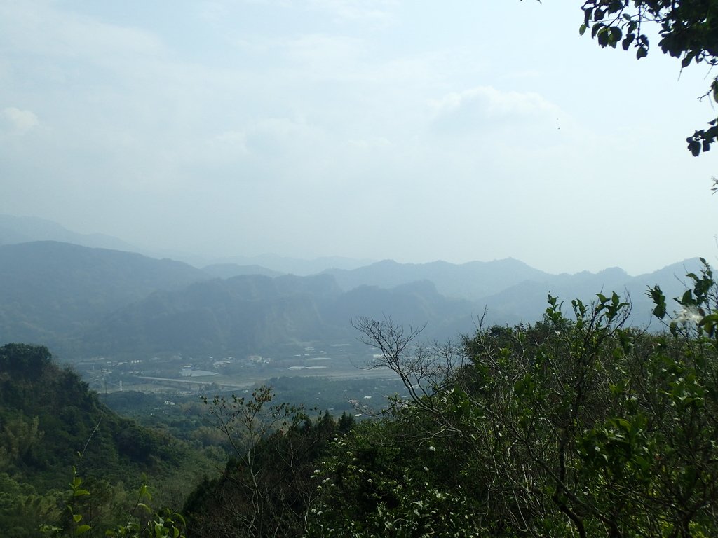 P3016055.JPG - 草屯平林  九九峰森林步道