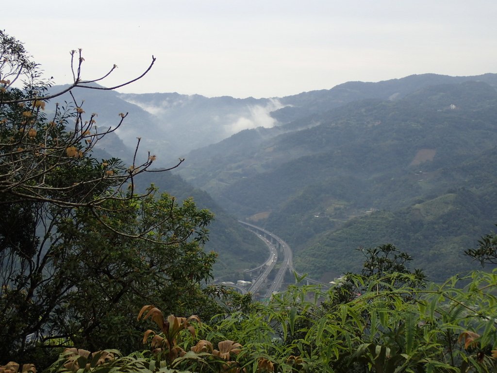 P3170377.JPG - 坪林  鬼子賴尖山