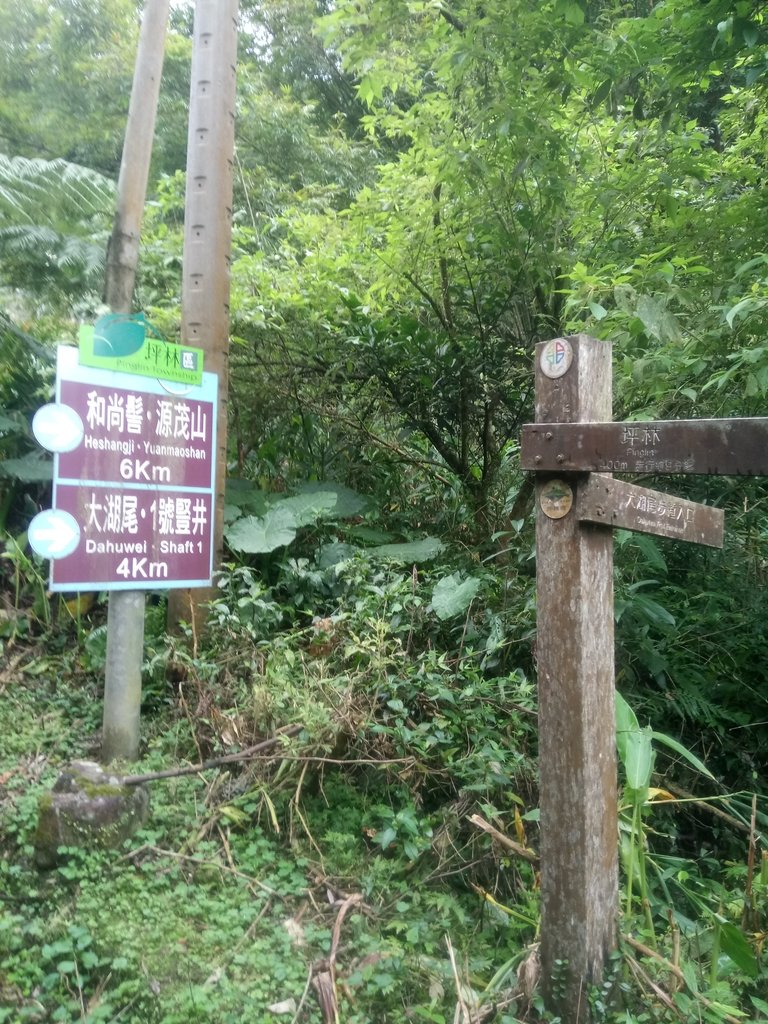 DSC_7226.JPG - 坪林  水聳淒坑步道