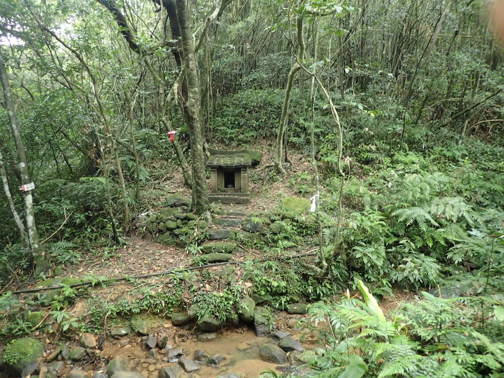 P3308233.JPG - 萬里  大路嶺古道行