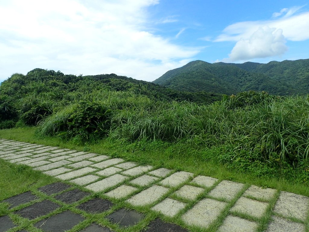 P7072298.JPG - 貢寮  蚊子坑古道  龍洞稜