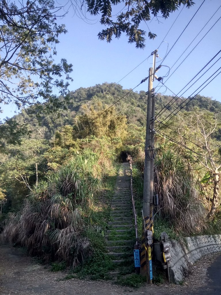 DSC_6899.JPG - 太平  暗影山(酒桶山)