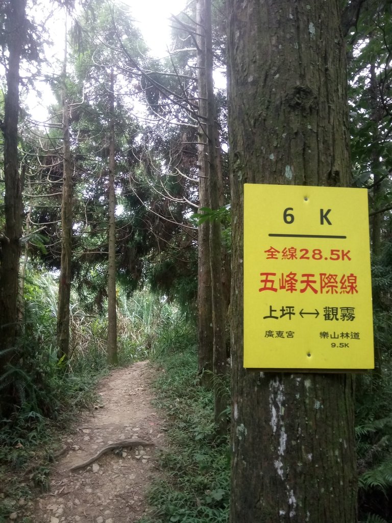 DSC_1052.JPG - 新竹  五指山登山步道