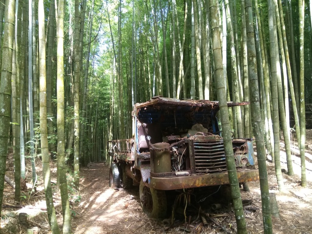 DSC_5218.JPG - 台中和平  長壽山登山步道  (中)