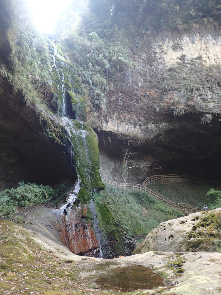 P2056653.JPG - 竹山  杉林溪森林遊樂園  路過