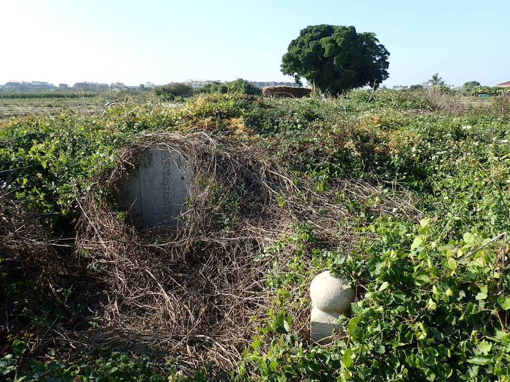 P1017839.JPG - 鹽水  菜園  儒林郎陳貽謀墓