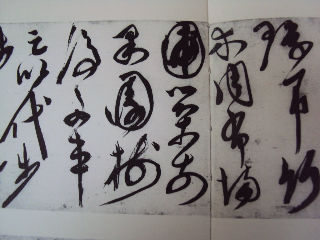 DSC00244.JPG - 陳淳的草書作品