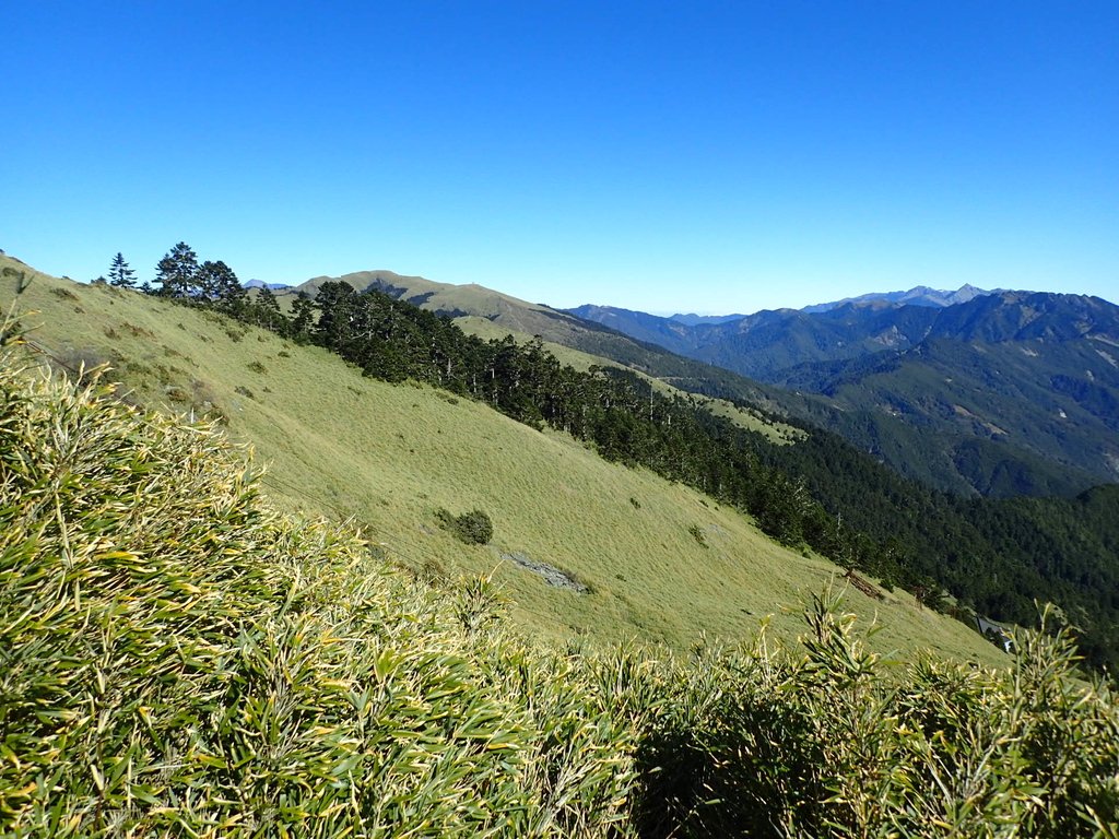 PC132042.JPG - 合歡山  東峰