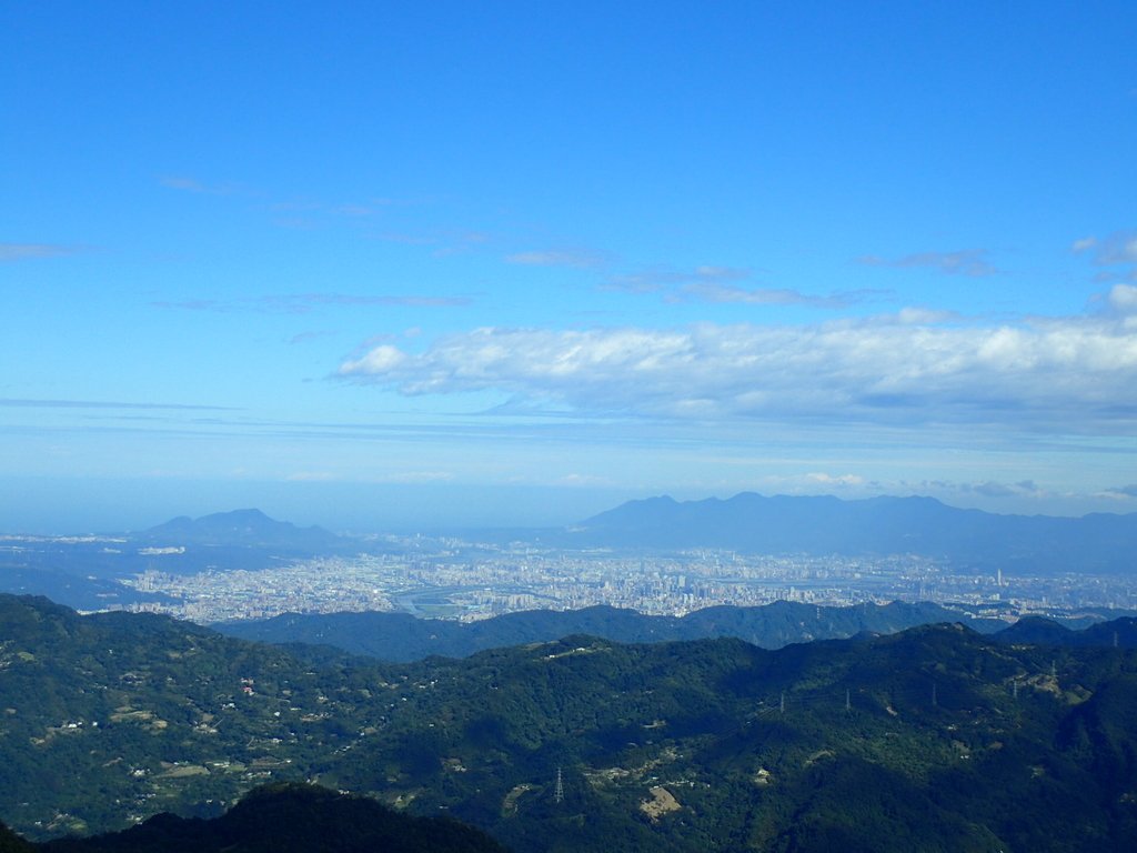 PB257512.JPG - 復興  東眼山森林步道