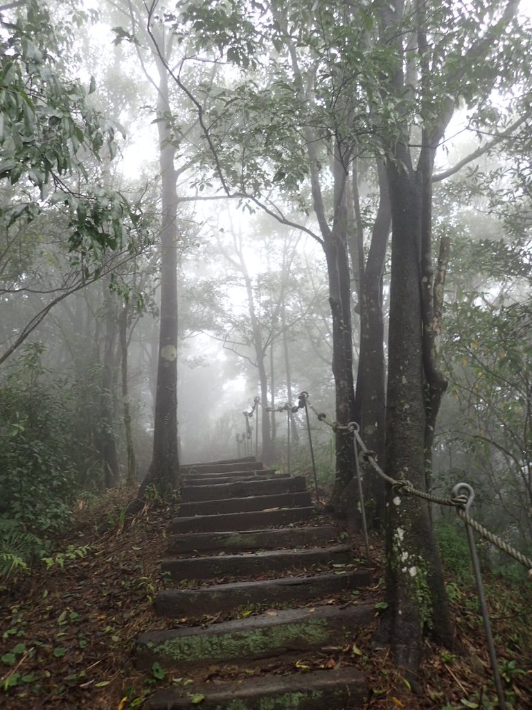 P1132756.JPG - 新店  獅子頭山隘勇線  01