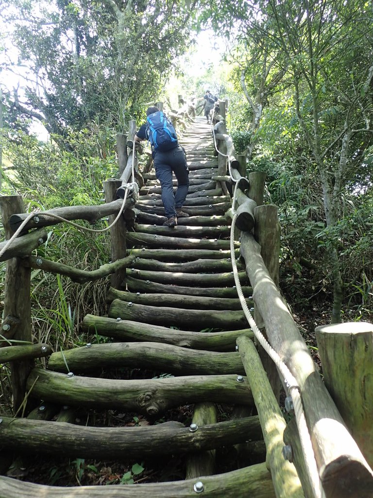 P5117159.JPG - 大坑四號步道  頭嵙山