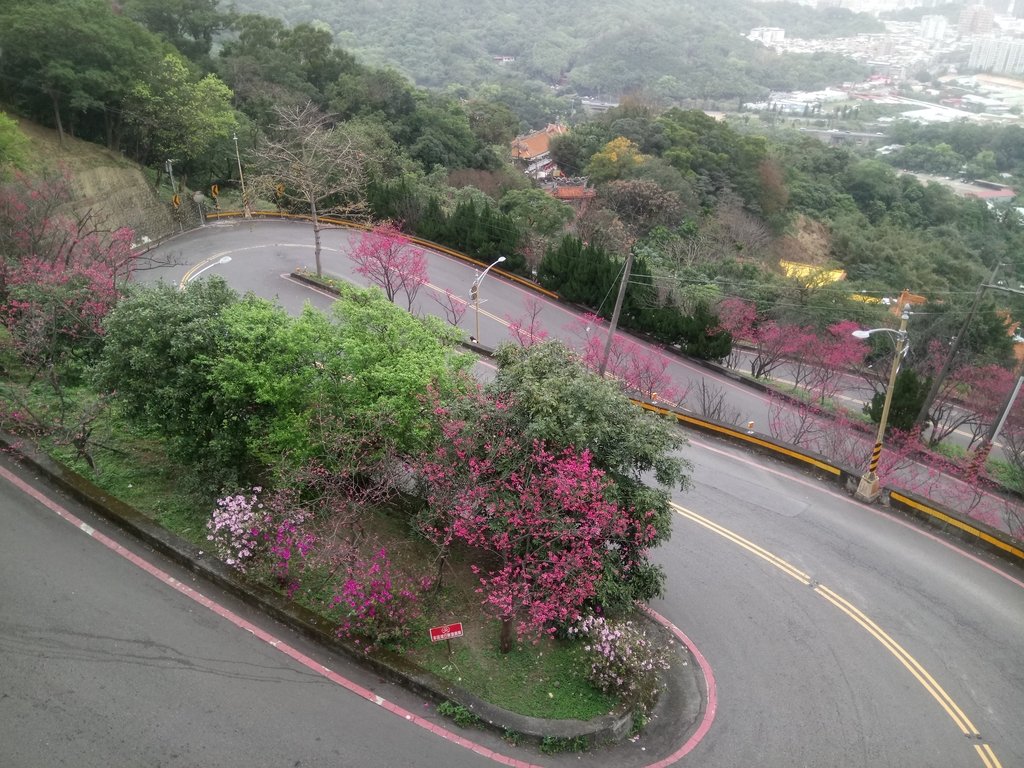 DSC_5261.JPG - 中和  南勢角山  (烘爐地)