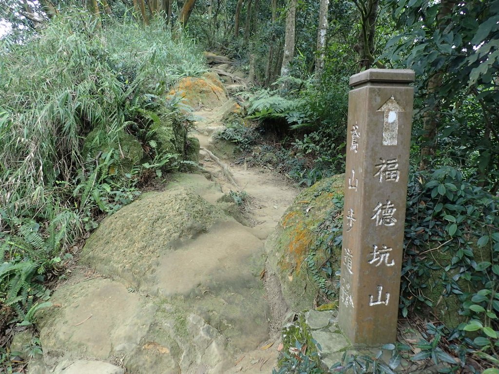 P2168029.JPG - 三峽  鳶山  (福德坑山)