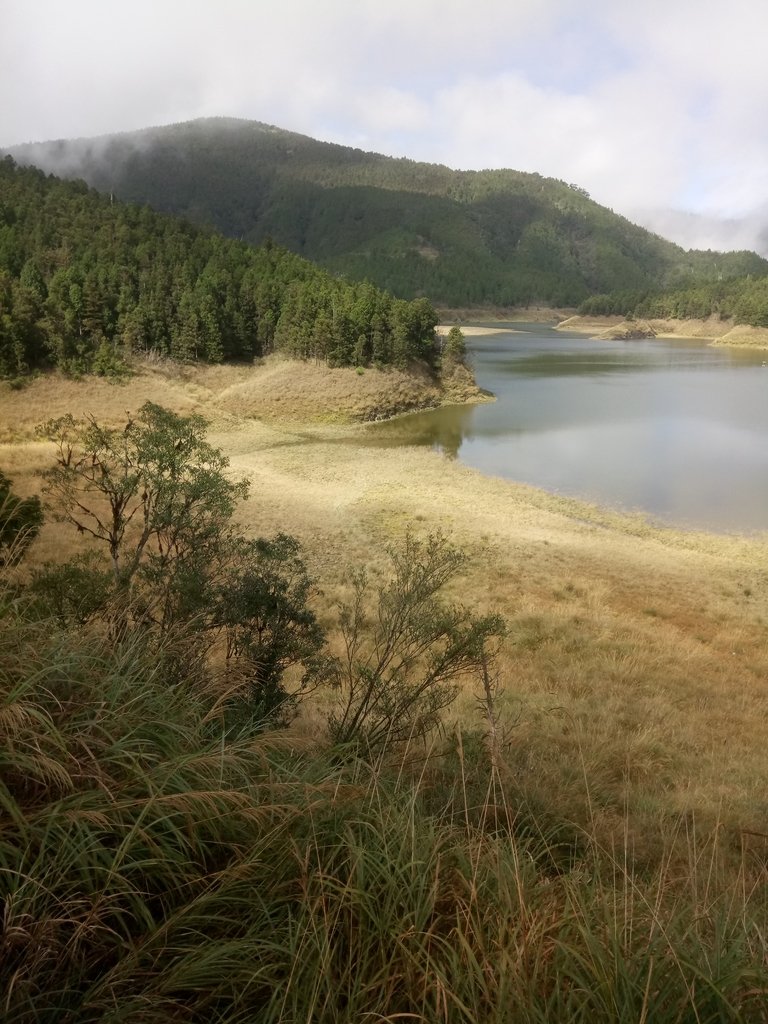 DSC_0045.JPG - 太平山  翠峰湖環山步道  01