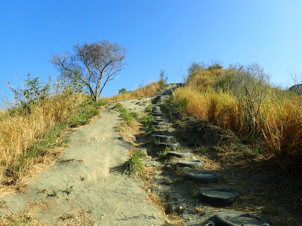 PA282004.JPG - 烏日  學田山登山步道