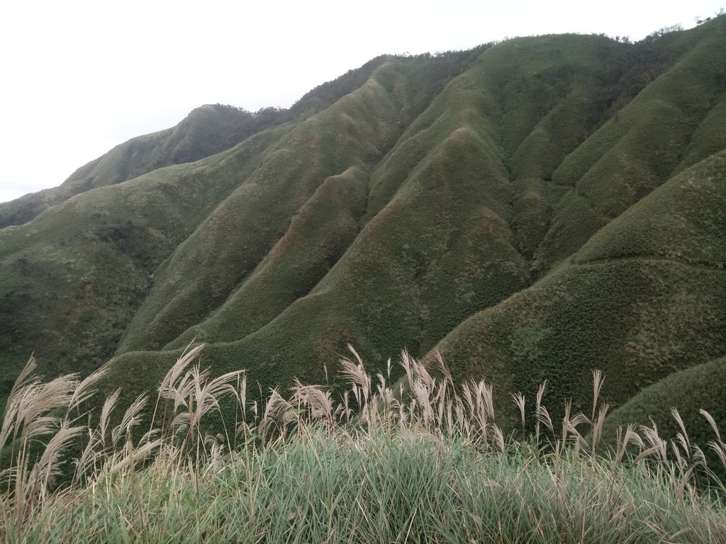 DSC_2819.JPG - 礁溪  聖母登山步道  (抹茶山)