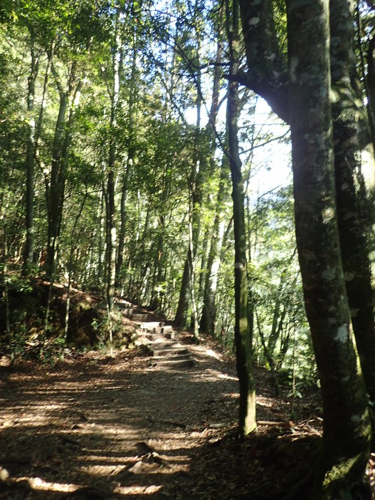 PA185482.JPG - 再訪---  台中  和平  鳶嘴山