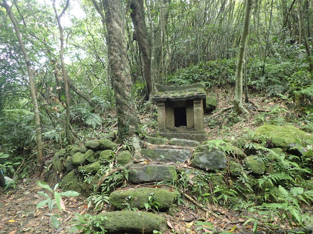 P3308234.JPG - 萬里  大路嶺古道行