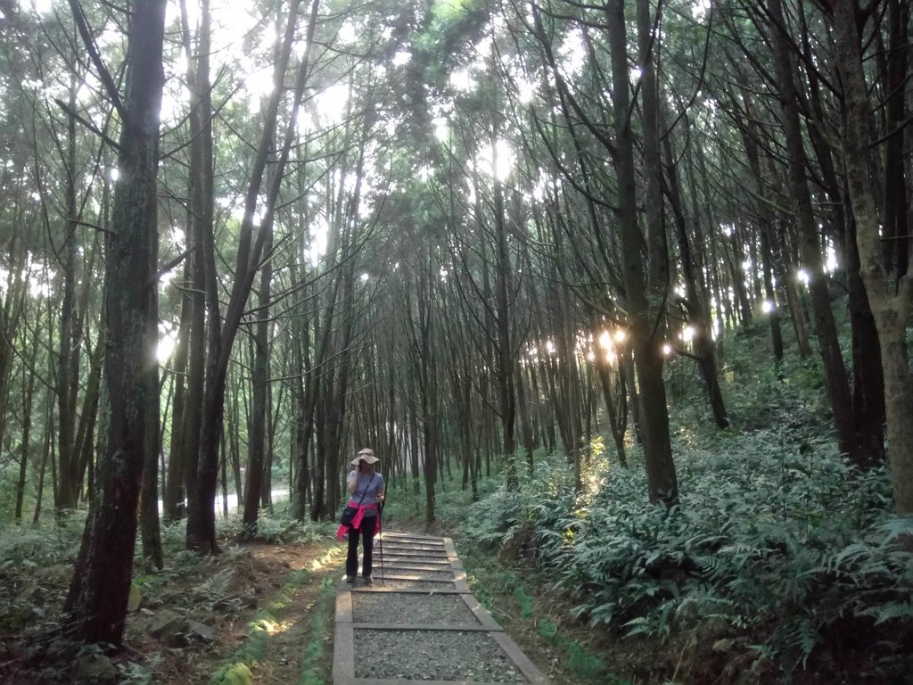 DSC_1922.JPG - 魚池  金龍山  (槌子寮山)