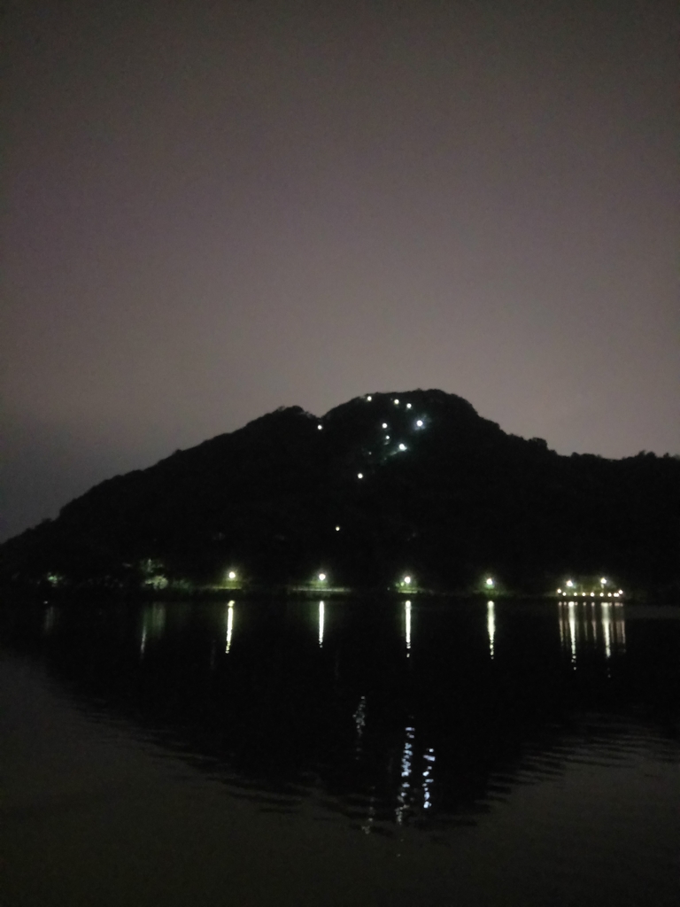 DSC_9331.JPG - 內湖  大湖公園之夜色