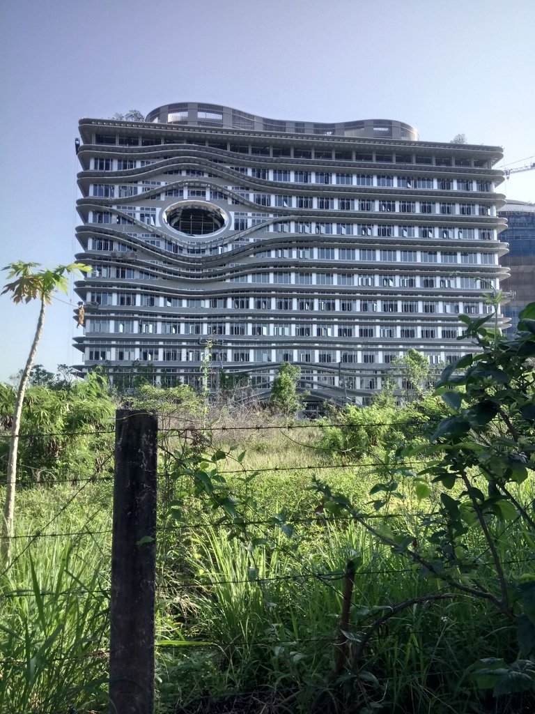 DSC_0950.JPG - 中國醫藥學院水湳校區  (興建中)