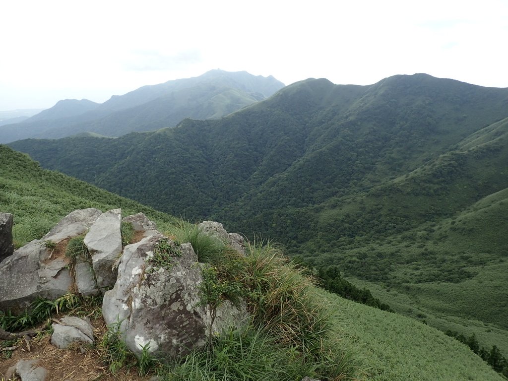 P7165516.JPG - 小觀音山  西峰登山步道