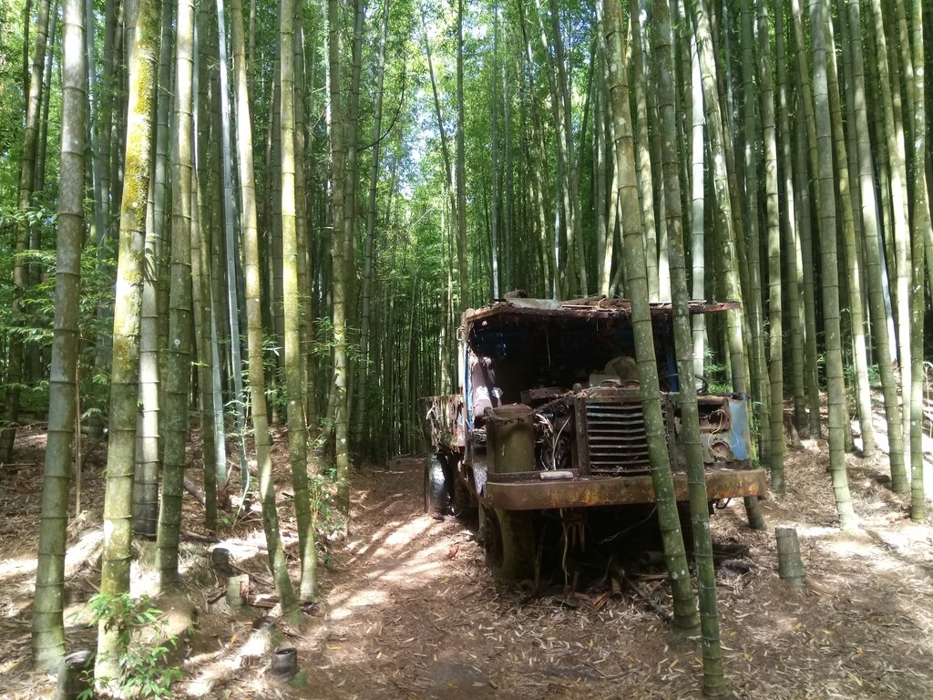 DSC_5219.JPG - 台中和平  長壽山登山步道  (中)