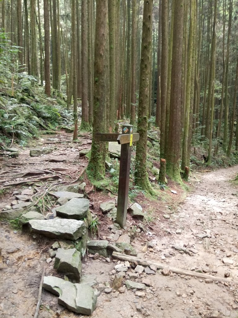 DSC_5288.JPG - 台中  和平  橫嶺山自然步道